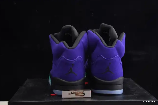 Kicktheory Jordan Grape Retro Alternate Air 136027-500 5 0531